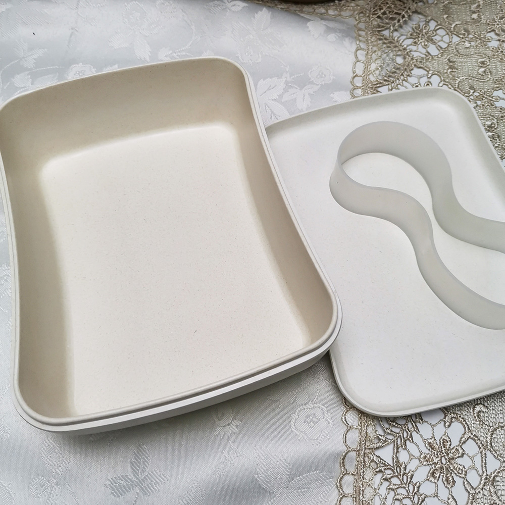 Pranzo al sacco ecologico di alta qualità per adulti con coperchio